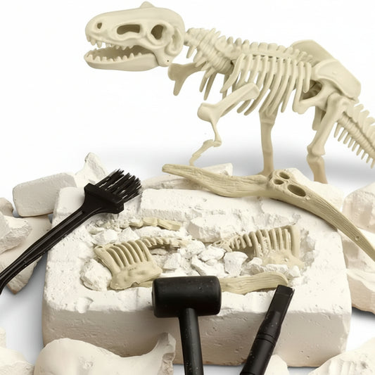 Kit de fouille archéologique Dinosaure