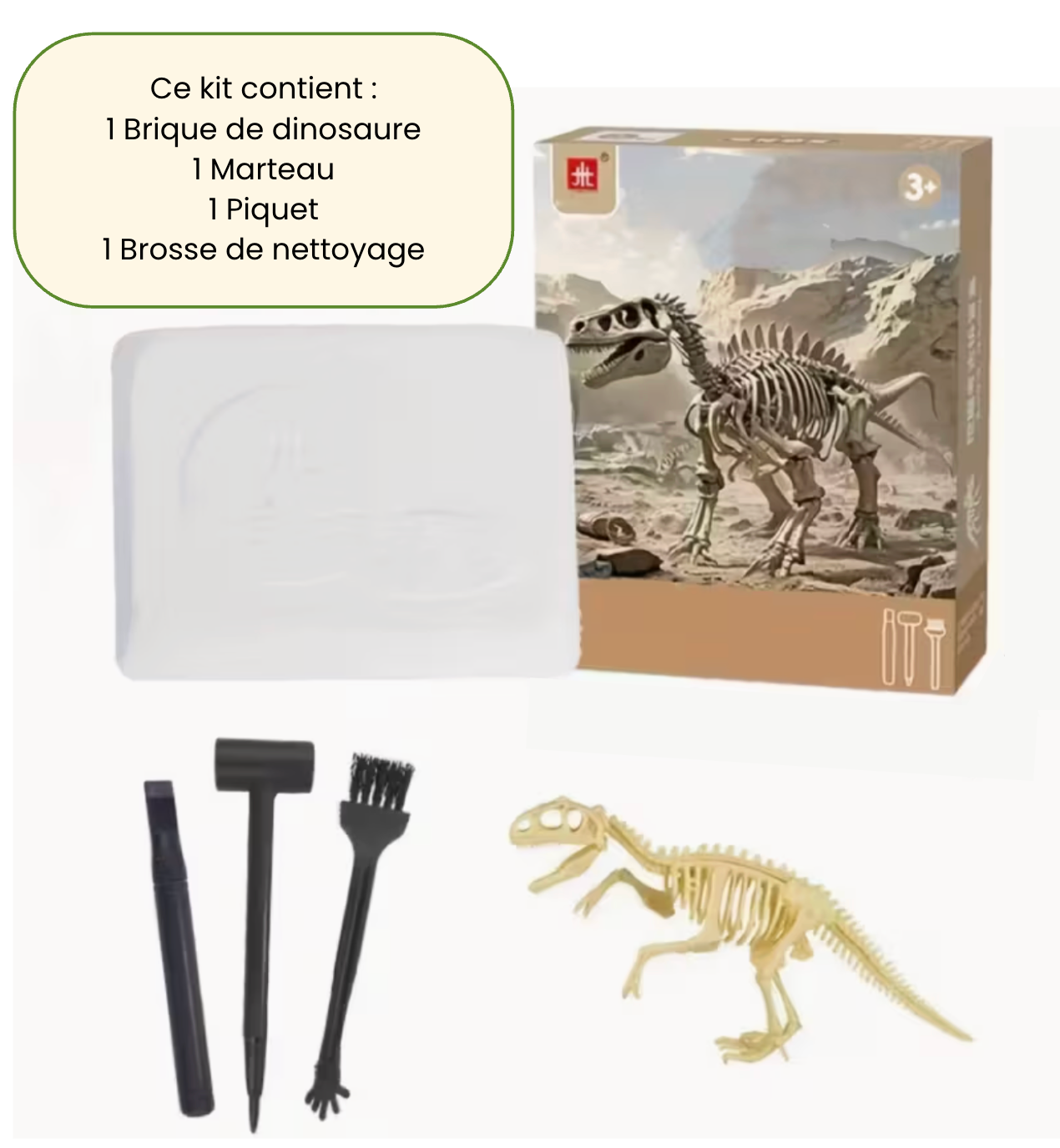 Kit de fouille archéologique Dinosaure
